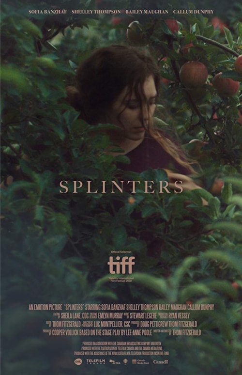 Splinters poster